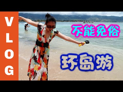 , title : '不能免俗的夏威夷环岛游，潜水看海龟（夏威夷VLOG4）'