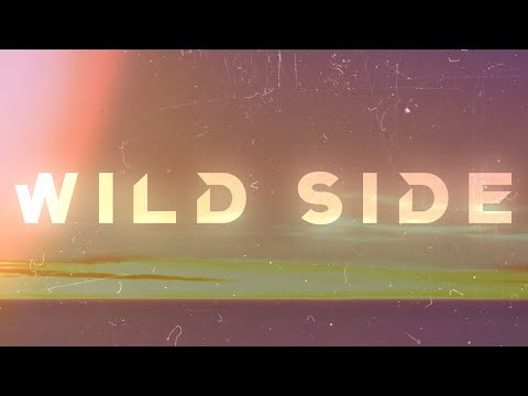 Poul, Alberto Ciccarini, Lacey - Wild Side