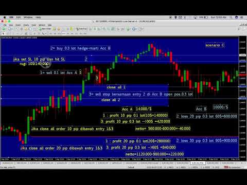 Robot forex hedging gratis