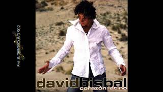 Quiero Perderme En Tu Cuerpo - David Bisbal