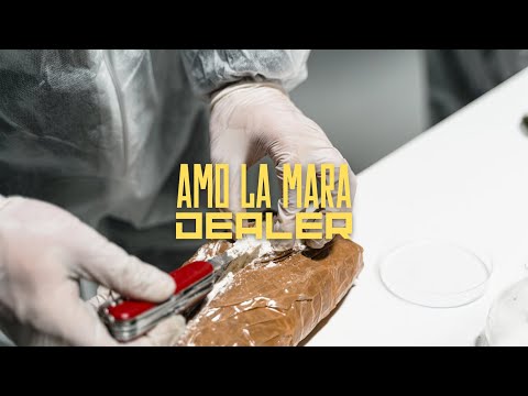 AMO LA MARA - DEALER (Official Video)