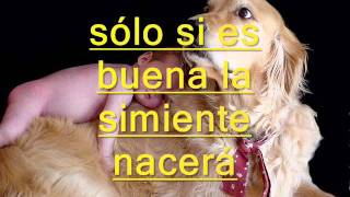 LOS AMANTES ------  MOCEDADES