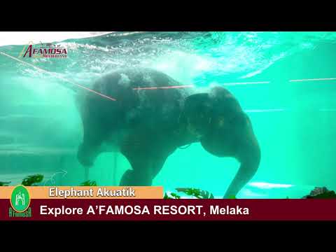 Explore A'Famosa Resort