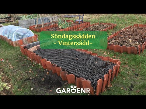Söndagssådden - Vintersådd - Trädgårdshacks med GardenR