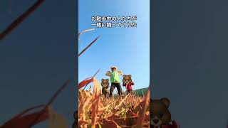 外で踊ってたら・・・・・・・#shorts