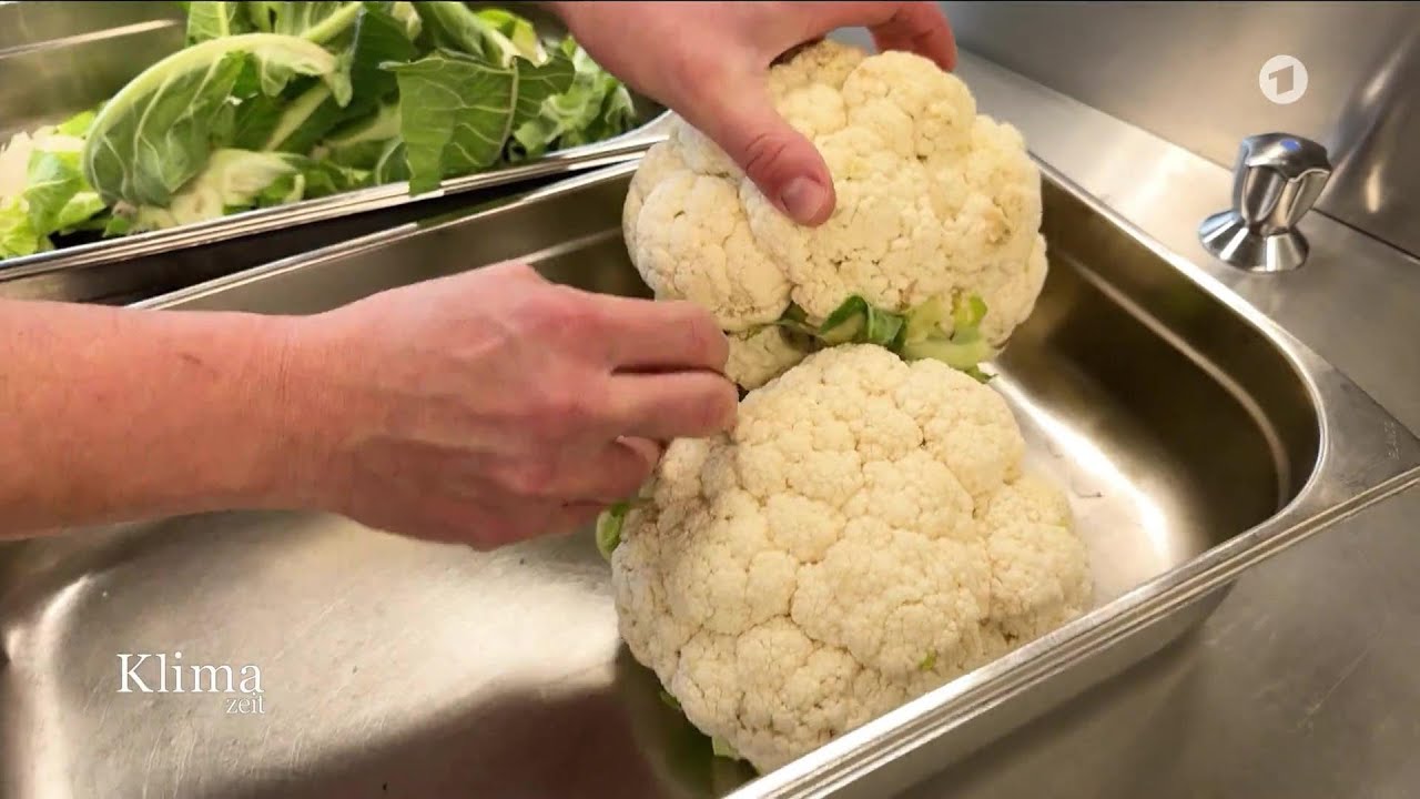 Planetary Health Diet: Wie unsere Ernährung das Klima beeinflusst | KlimaZeit 19:45 Uhr, 20.03.2026