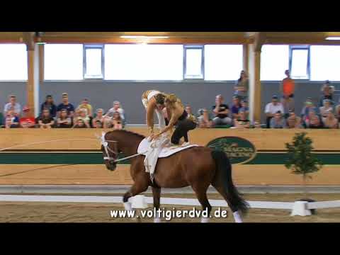 RC Wildegg (AUT) - CVI3 Squad 01 - CVI Ebreichsdorf 2017
