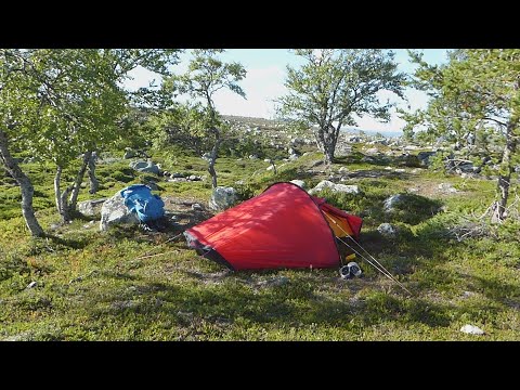 Sex Veckor i ROGENFJÄLLEN 2020 - STORVÄTTESHOGNA 1204 m och Basläger