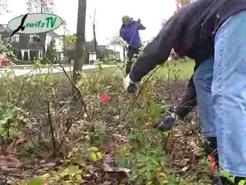 Herbstputz Mirow nov