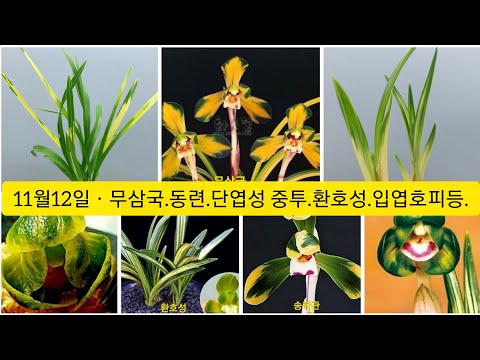 유튜브 썸네일