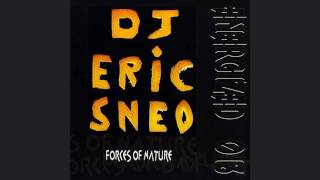 DJ Eric Sneo - Acid Nature