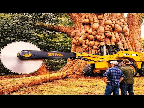 This Man Cut Down a Giant Tree to Create Stunning Outdoor Furniture