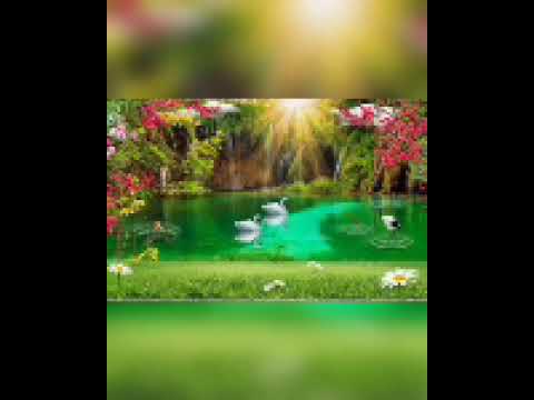 Chicken kuk- Doo - Koo Song Bajrangi Bhaijaan