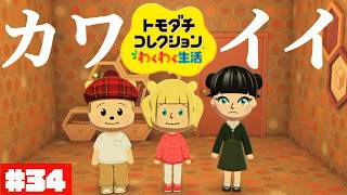 愛おしき住民たちとの生活、幸せです。ぽて島~another island~#34【トモダチコレクション わくわく生活】【生配信】