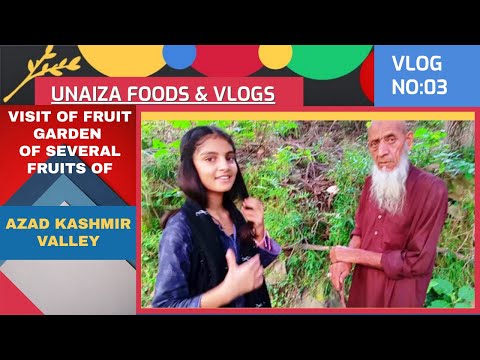 Visit Of Small Home Fruit Garden at Azad Kashmir | Unaiza Foods & Vlogs