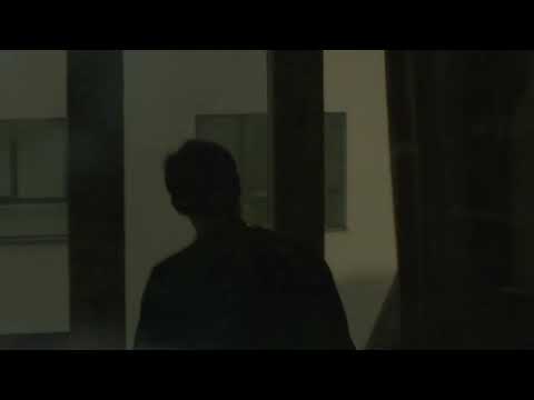 Ribbons - Which Direction They Went