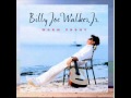 Billy Joe Walker Jr. - (With Nanci Griffith) Moon Of The Misbegotten