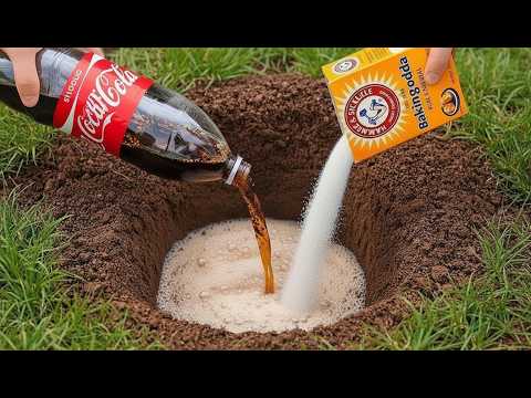 Vierte Coca-Cola + Bicarbonato de Sodio en un Agujero… ¡Lo Que Suceda Después Te Sorprenderá!
