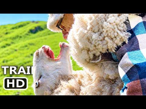 Black Sheeps