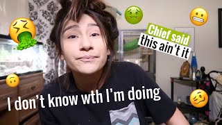 Why do I continue to be like this???