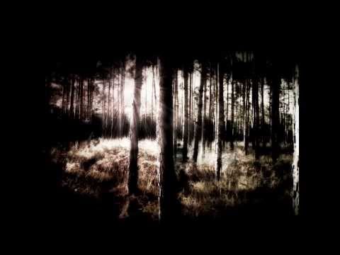 Heimleiden - Crepusculum (Ambient Black Metal)
