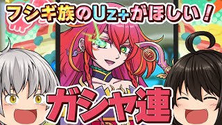 【ガシャ連】雲雀朱音ちゃん超アップ！フシギ族を強化したい饅頭の仁義なき戦い　アイドルロワイヤル第3弾【妖怪ウォッチぷにぷに】