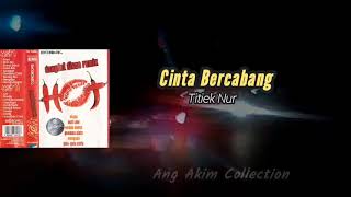 Download lagu Cinta Bercabang (Disco Remix) - Titiek Nur mp3 Download lagu Cinta Bercabang (Disco Remix) - Titiek Nur mp3
