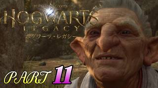 #11【ホグワーツレガシー】ゴブリンの宝アートコットの兜と動物学の授業！HOGWARTS LEGACY