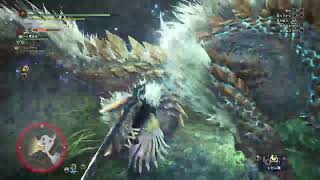 【MHW IB】初見ジンオウガ
