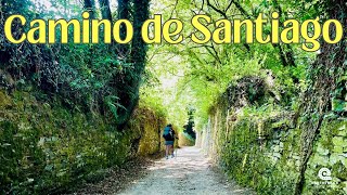CAMINO de SANTIAGO - Day 30