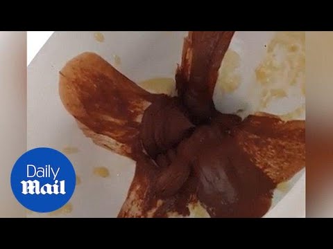 Dessert that looks like faeces is served inside toilet seat!