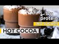 HEALTHY HOT CHOCOLATE Sugar Free High Protein Cocoa Recipe