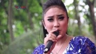 New Pallapa Si Kecil Live Karaban 2016 New Pallapa Si Kecil Live Karaban 2016