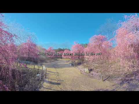 Suzuka Forest Garden【8K/Angle 360】