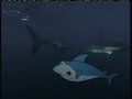 LOST MEDIA Boomerang Jabberjaw Bumper 2005