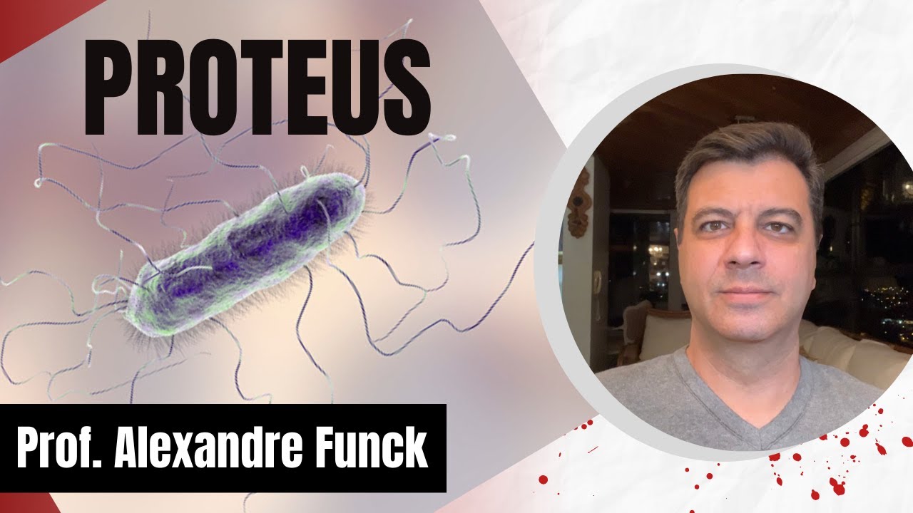 PROTEUS - PROF. ALEXANDRE FUNCK