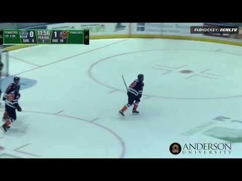 Greenville Swamp Rabbits 3 at Florida Everblades 0 (4/17/2021)