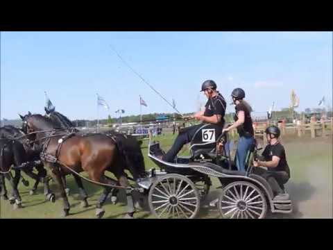 Horse Driving Kronenberg 2018: Ijsbrand Chardon (NED)