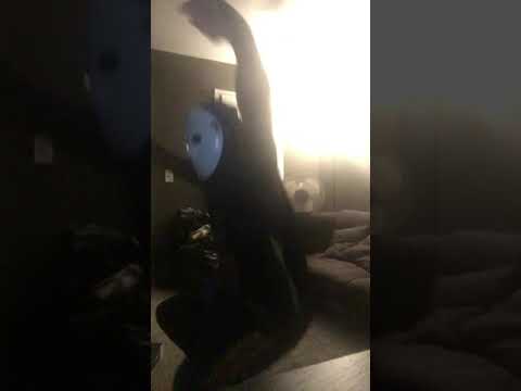 Turn Up King Dance Video Bounce with Me By Lil Bow wow