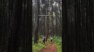 Download lagu Selalu nagih setiap kesini.. #curug #curugbogor #airterjun #bogor #tracking #travel mp3