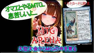 プレゼン回【LIVE】 害獣カワウソしかいない【MtG】大型大会から現状を語る