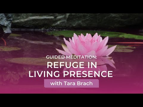 Guided Meditation: Refuge in Living Presence with Tara Brach