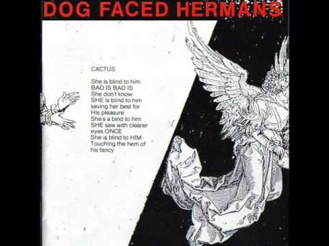 Dog Faced Hermans - Cactus