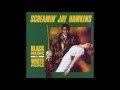 Screamin' Jay Hawkins - I put a spell on you (Dance version)
