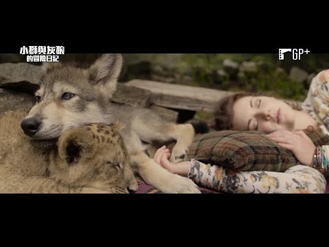 小獅與灰狼的冒險日記 The Wolf and the Lion｜一場不平凡的相遇，帶來一趟命運交織的冒險旅程 10/7(五) 克服萬難｜GP+