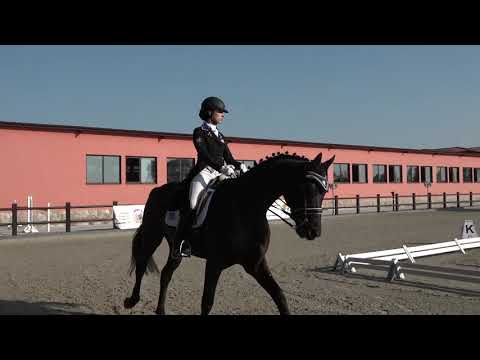 EIRINI DIMITRIJEVIC & ESCORDIO - FEI JUNIORS TEAM TEST (BALKAN CHAMPIONSHIP in BULGARIA, 6/7/2018)