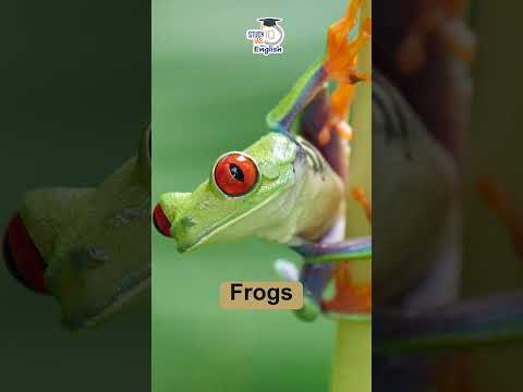 Phonotaxis | Rahul Saigaonkar | StudyIQ IAS English