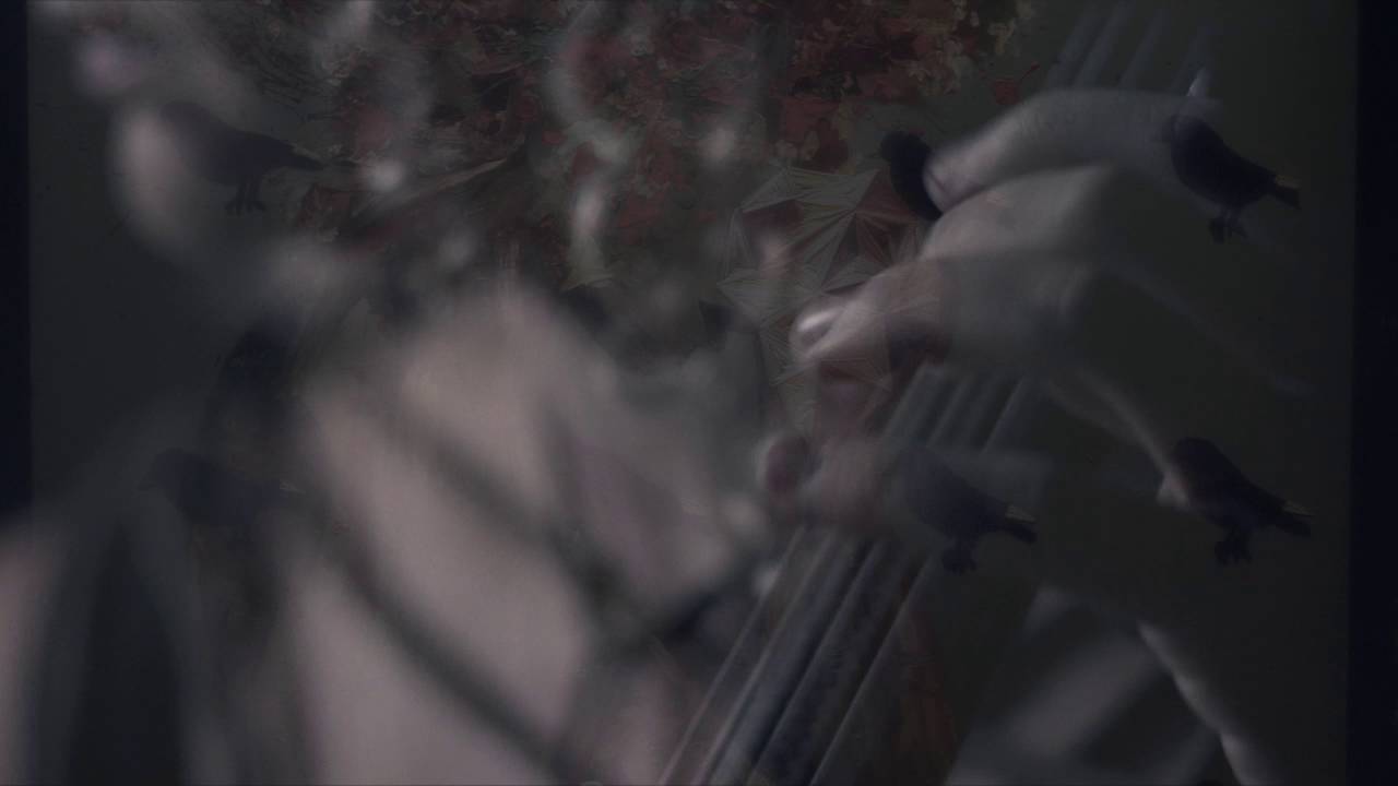 Promotional video thumbnail 2 for Cellista
