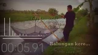 Download lagu #Balungankere #LTBSSTORY Balungan kere Story 30 detik. mp3