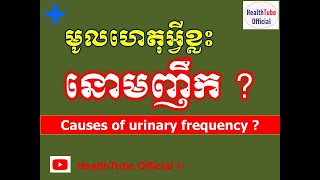 មូលហេតុអ្វីខ្លះ នោមញឹក ? l Why urinary frequency ? l នោមញឹក ll @healthtubeofficial
